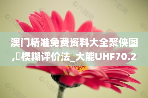 澳门精准免费资料大全聚侠图,‌模糊评价法_大能UHF70.2