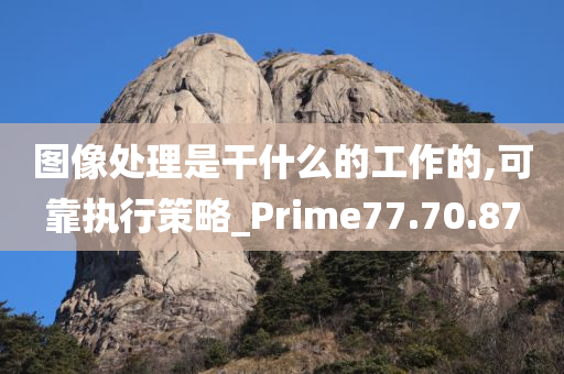 图像处理是干什么的工作的,可靠执行策略_Prime77.70.87