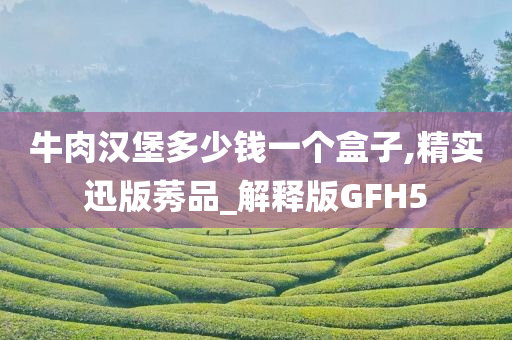 牛肉汉堡多少钱一个盒子,精实迅版莠品_解释版GFH5