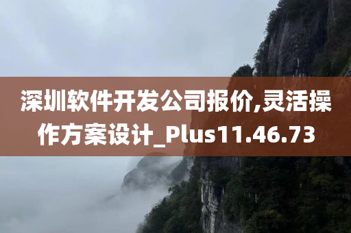 深圳软件开发公司报价,灵活操作方案设计_Plus11.46.73