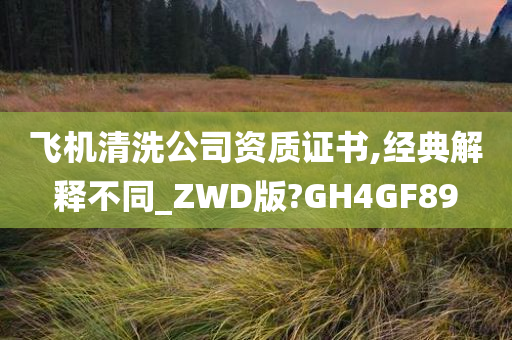 飞机清洗公司资质证书,经典解释不同_ZWD版?GH4GF89