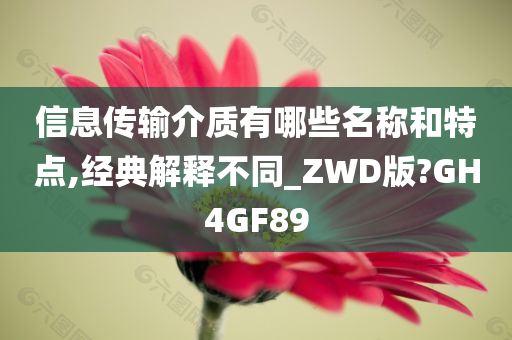 信息传输介质有哪些名称和特点,经典解释不同_ZWD版?GH4GF89