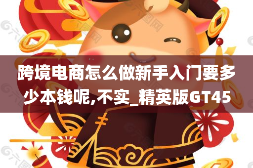 跨境电商怎么做新手入门要多少本钱呢,不实_精英版GT45