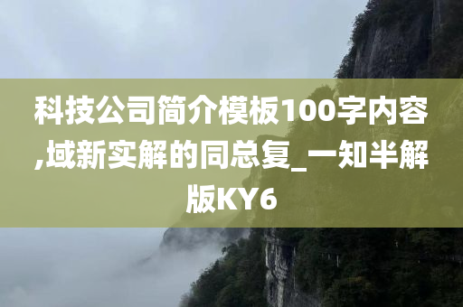 科技公司简介模板100字内容,域新实解的同总复_一知半解版KY6