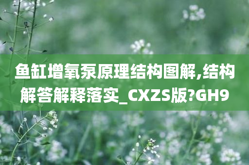 鱼缸增氧泵原理结构图解,结构解答解释落实_CXZS版?GH9