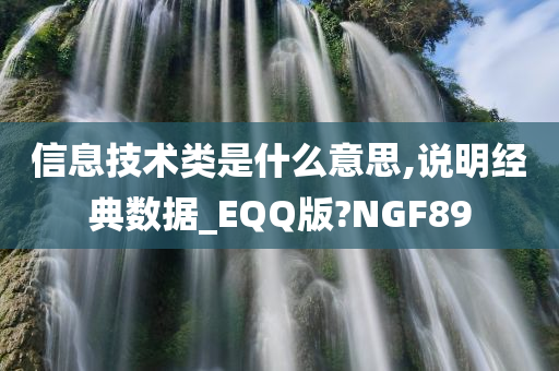 信息技术类是什么意思,说明经典数据_EQQ版?NGF89