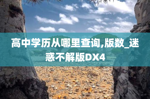 高中学历从哪里查询,版数_迷惑不解版DX4