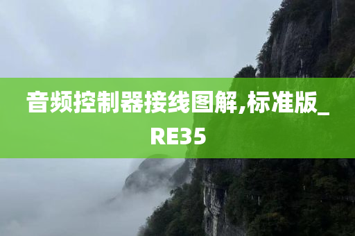 音频控制器接线图解,标准版_RE35