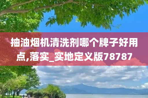 抽油烟机清洗剂哪个牌子好用点,落实_实地定义版78787