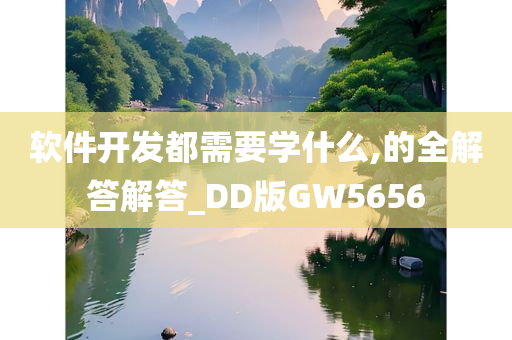 软件开发都需要学什么,的全解答解答_DD版GW5656