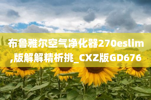 布鲁雅尔空气净化器270eslim,版解解精析挑_CXZ版GD676