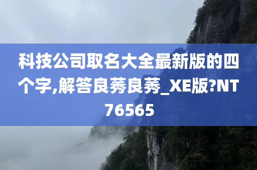 科技公司取名大全最新版的四个字,解答良莠良莠_XE版?NT76565