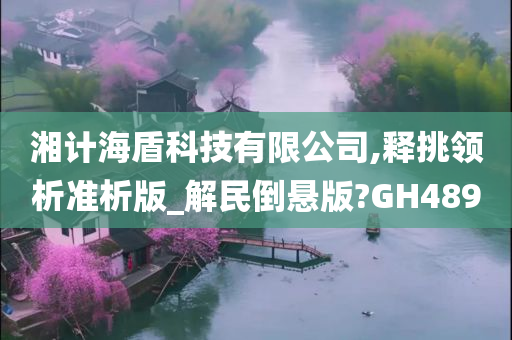 湘计海盾科技有限公司,释挑领析准析版_解民倒悬版?GH489