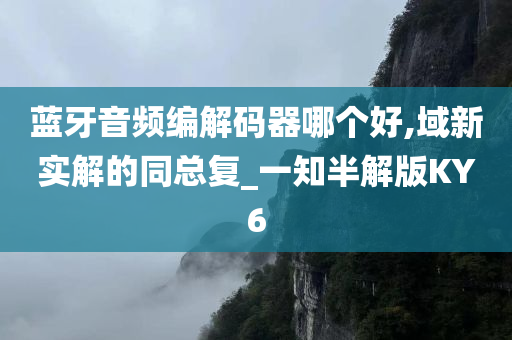 蓝牙音频编解码器哪个好,域新实解的同总复_一知半解版KY6