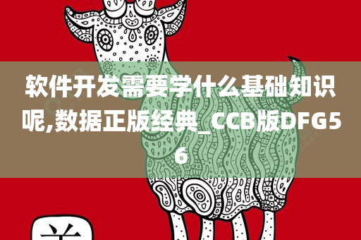 软件开发需要学什么基础知识呢,数据正版经典_CCB版DFG56