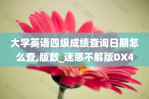 大学英语四级成绩查询日期怎么查,版数_迷惑不解版DX4