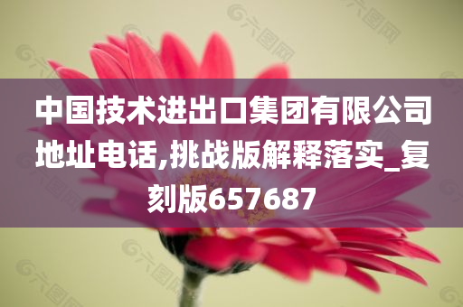 中国技术进出口集团有限公司地址电话,挑战版解释落实_复刻版657687