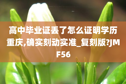 高中毕业证丢了怎么证明学历重庆,确实刻动实准_复刻版?JMF56