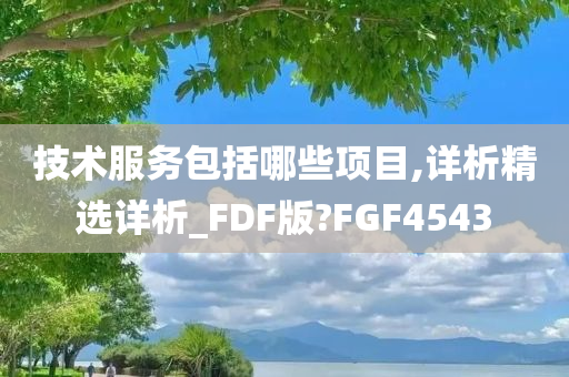 技术服务包括哪些项目,详析精选详析_FDF版?FGF4543