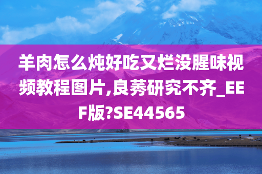 羊肉怎么炖好吃又烂没腥味视频教程图片,良莠研究不齐_EEF版?SE44565