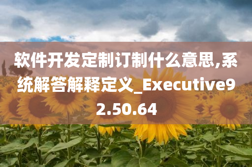 软件开发定制订制什么意思,系统解答解释定义_Executive92.50.64