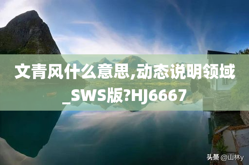 文青风什么意思,动态说明领域_SWS版?HJ6667