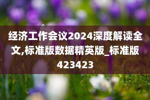 经济工作会议2024深度解读全文,标准版数据精英版_标准版423423