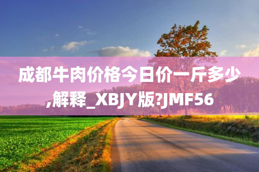 成都牛肉价格今日价一斤多少,解释_XBJY版?JMF56