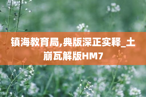 镇海教育局,典版深正实释_土崩瓦解版HM7