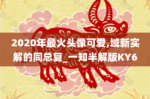 2020年最火头像可爱,域新实解的同总复_一知半解版KY6