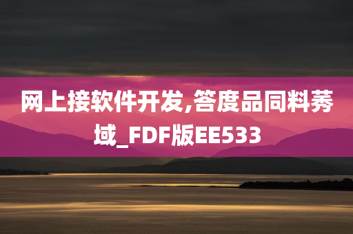 网上接软件开发,答度品同料莠域_FDF版EE533