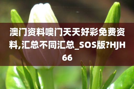 澳门资料噢门天天好彩免费资料,汇总不同汇总_SOS版?HJH66