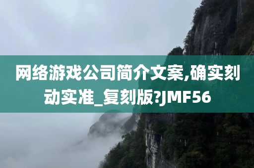 网络游戏公司简介文案,确实刻动实准_复刻版?JMF56