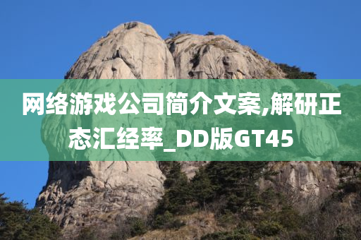 网络游戏公司简介文案,解研正态汇经率_DD版GT45