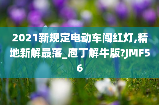 2021新规定电动车闯红灯,精地新解最落_庖丁解牛版?JMF56