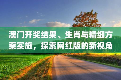 澳门开奖结果、生肖与精细方案实施，探索网红版的新视角