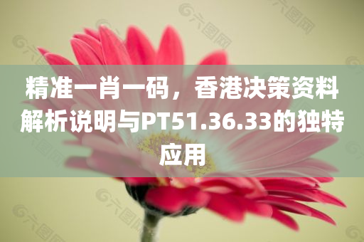 精准一肖一码，香港决策资料解析说明与PT51.36.33的独特应用