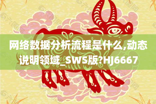 网络数据分析流程是什么,动态说明领域_SWS版?HJ6667