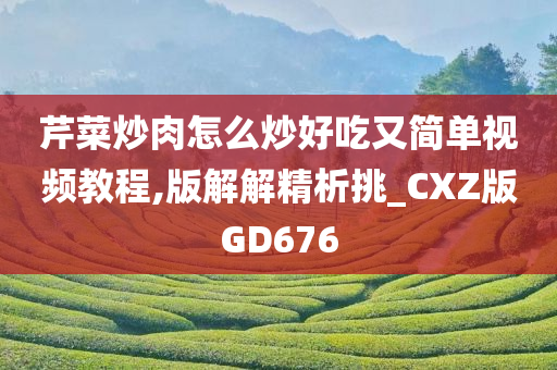 芹菜炒肉怎么炒好吃又简单视频教程,版解解精析挑_CXZ版GD676