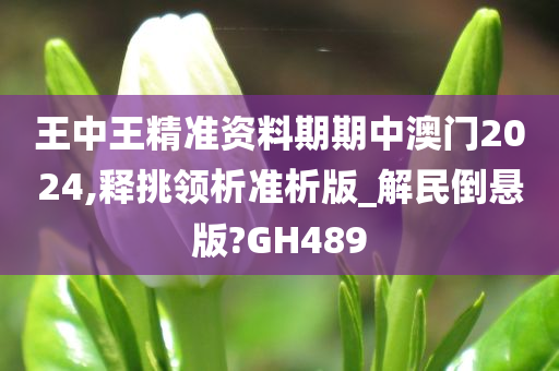 王中王精准资料期期中澳门2024,释挑领析准析版_解民倒悬版?GH489