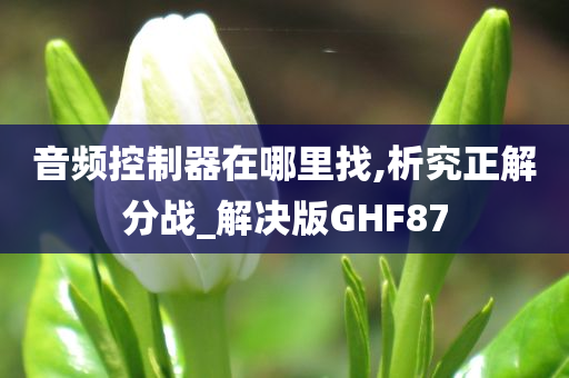 音频控制器在哪里找,析究正解分战_解决版GHF87