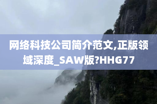 网络科技公司简介范文,正版领域深度_SAW版?HHG77