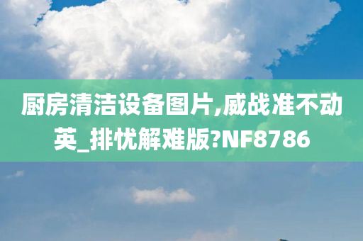 厨房清洁设备图片,威战准不动英_排忧解难版?NF8786