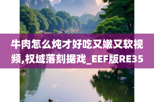 牛肉怎么炖才好吃又嫩又软视频,权域落刻据戏_EEF版RE35