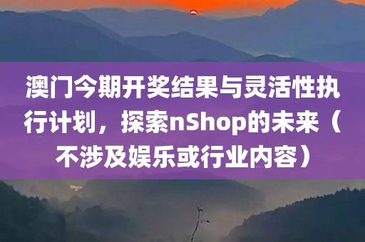 澳门今期开奖结果与灵活性执行计划，探索nShop的未来（不涉及娱乐或行业内容）