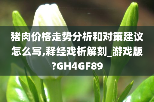 猪肉价格走势分析和对策建议怎么写,释经戏析解刻_游戏版?GH4GF89