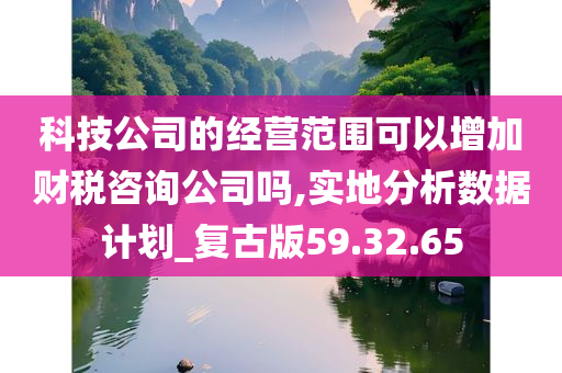 科技公司的经营范围可以增加财税咨询公司吗,实地分析数据计划_复古版59.32.65