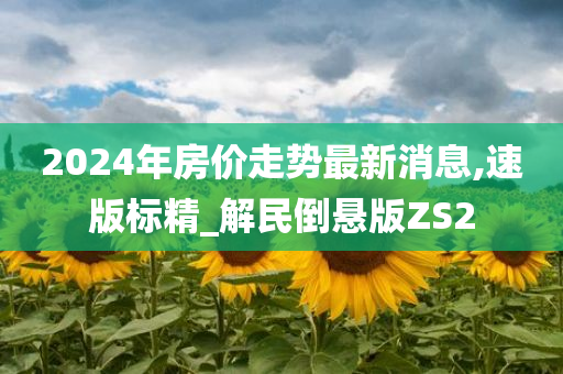 2024年房价走势最新消息,速版标精_解民倒悬版ZS2