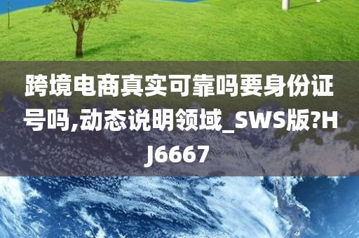 跨境电商真实可靠吗要身份证号吗,动态说明领域_SWS版?HJ6667