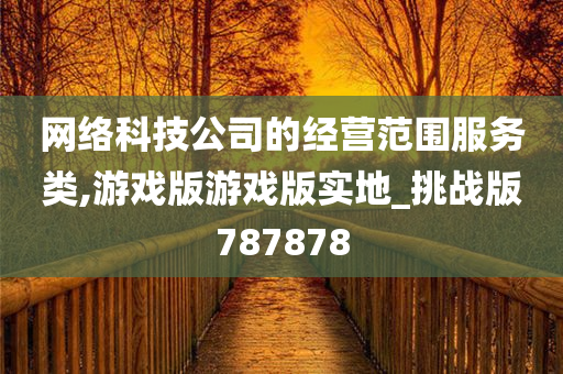 网络科技公司的经营范围服务类,游戏版游戏版实地_挑战版787878